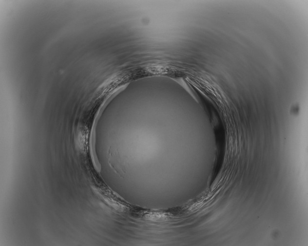 X0000096160332200801251133