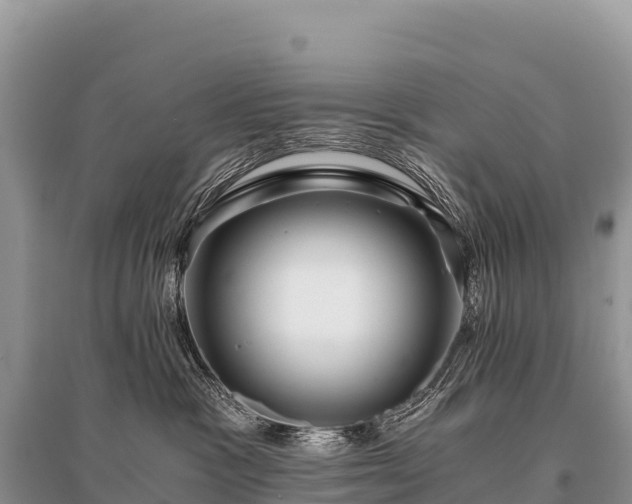 X0000096160333200801251133