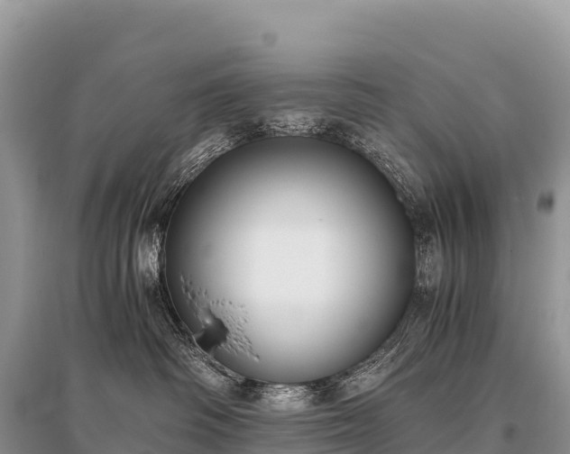 X0000096160334200801251133