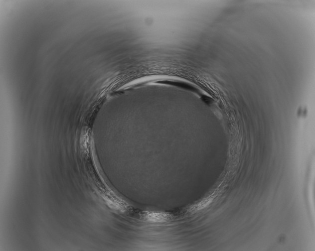 X0000096160336200801251133