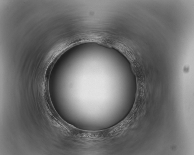 X0000096160338200801251132