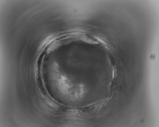 X0000096160339200801251132