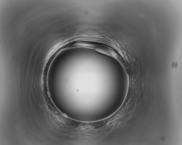 X0000096160340200801251132