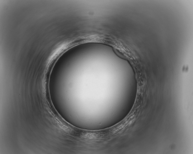 X0000096160341200801251132