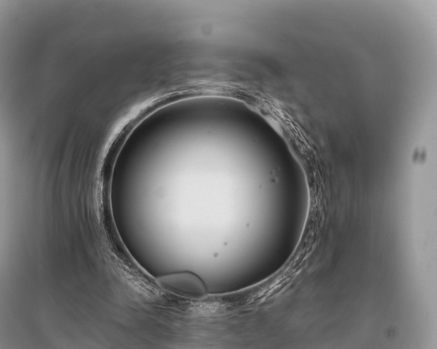 X0000096160342200801251132