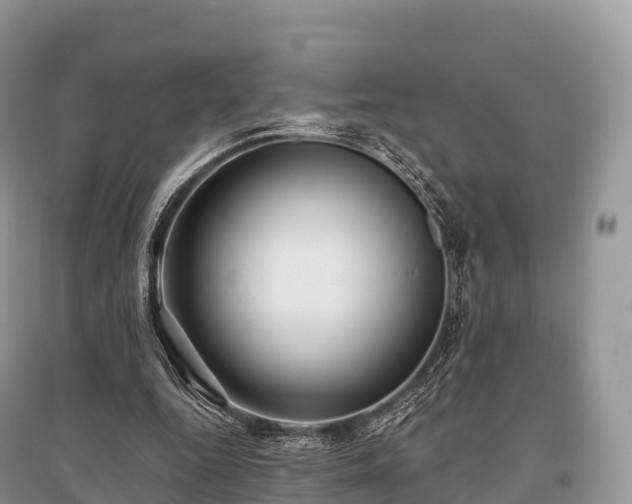 X0000096160344200801251132