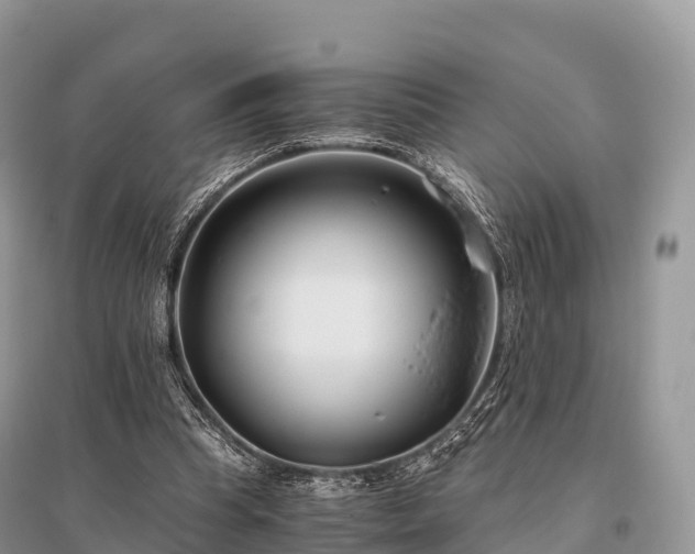 X0000096160345200801251132