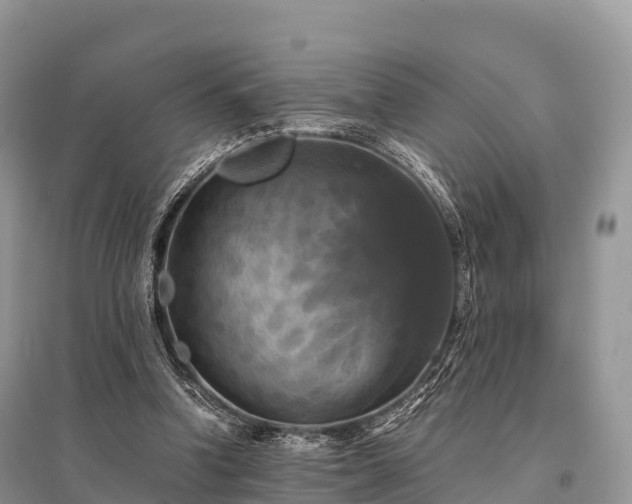 X0000096160346200801251132