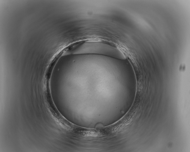 X0000096160347200801251132