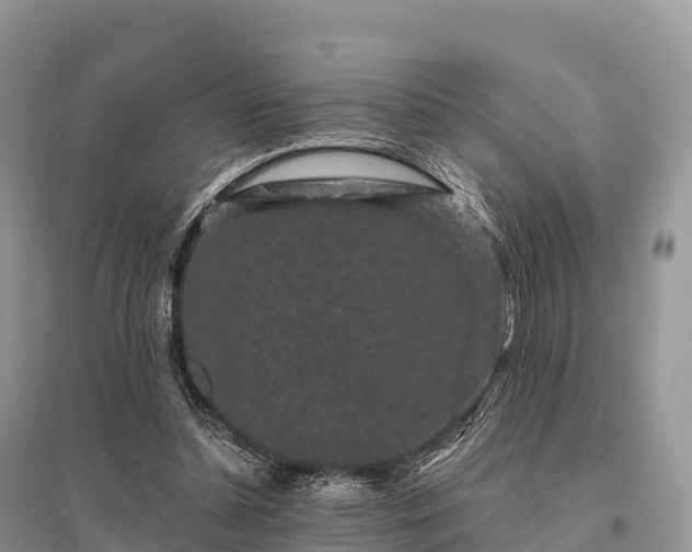 X0000096160348200801251132