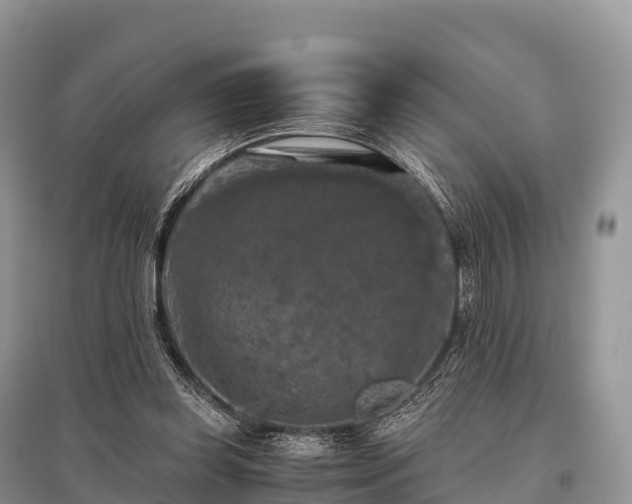 X0000096160349200801251132