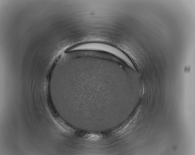 X0000096160352200801251132