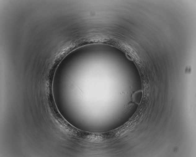 X0000096160354200801251132