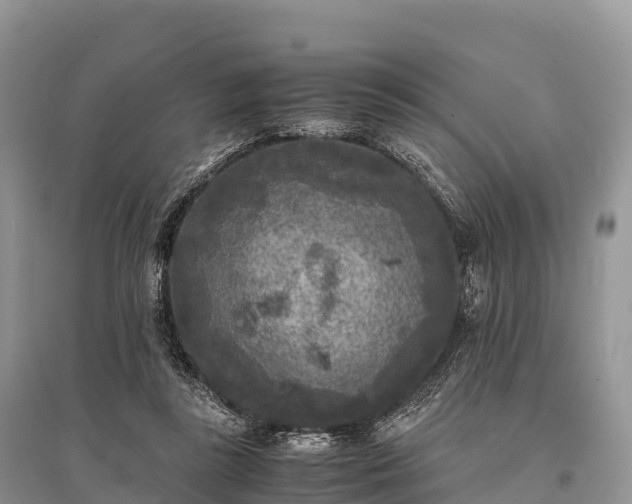 X0000096160355200801251132