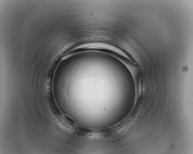 X0000096160356200801251132