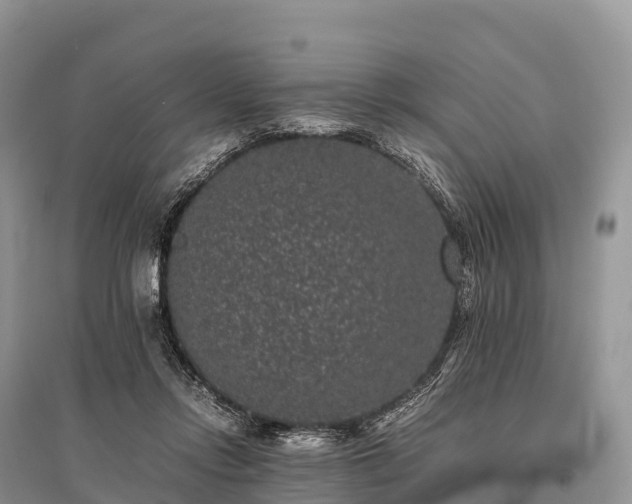 X0000096160358200801251132