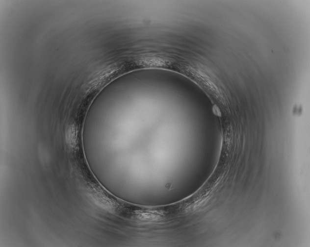 X0000096160359200801251132