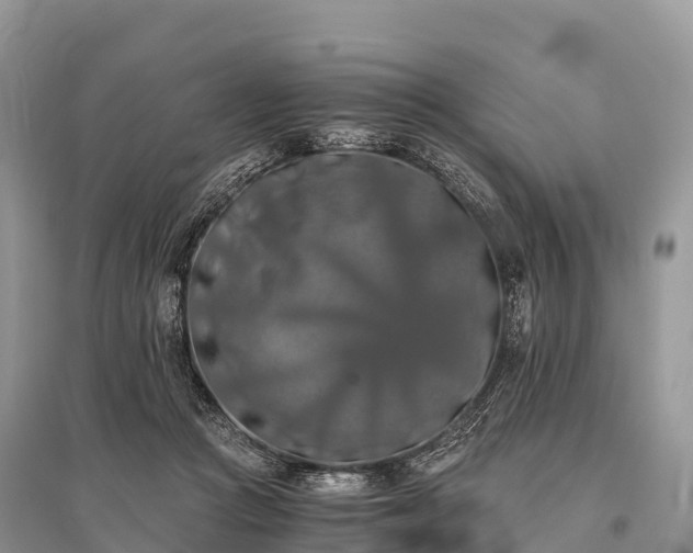 X0000096160361200801251132