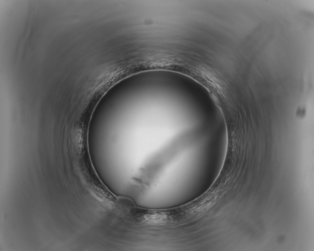 X0000096160362200801251133