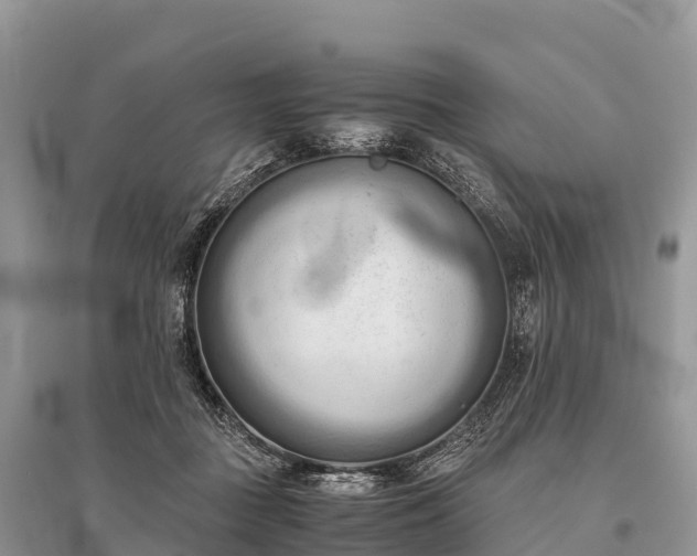 X0000096160363200801251133