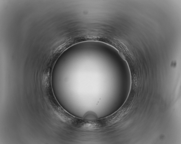 X0000096160364200801251133