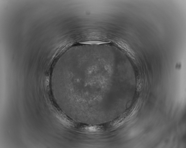 X0000096160365200801251133