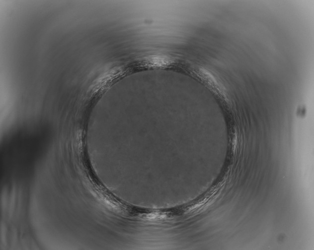 X0000096160366200801251133