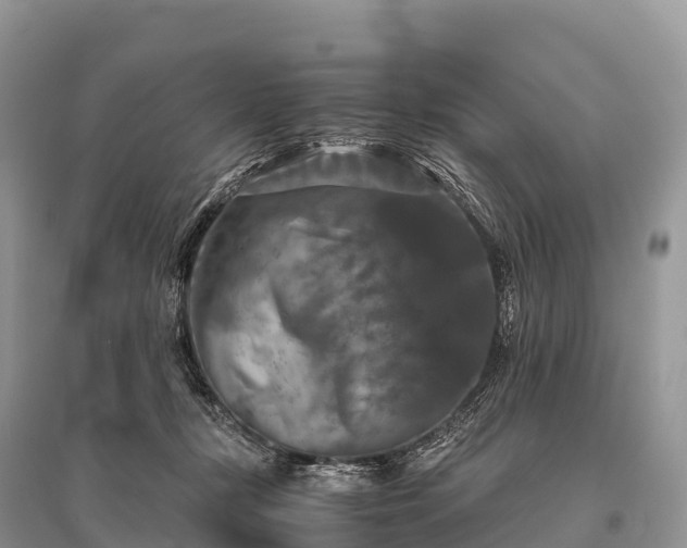 X0000096160367200801251133