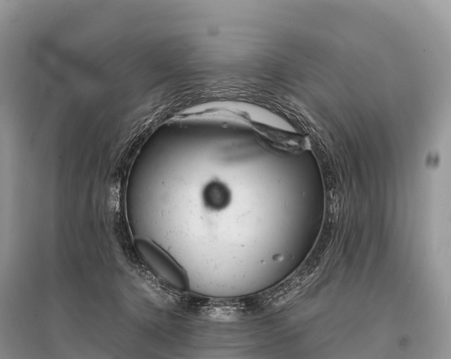 X0000096160368200801251133