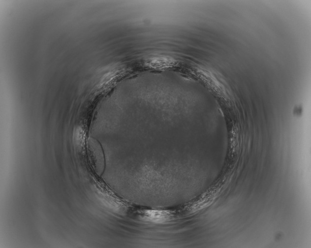 X0000096160371200801251133