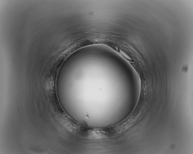 X0000096160372200801251133