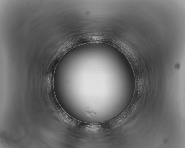 X0000096160373200801251133