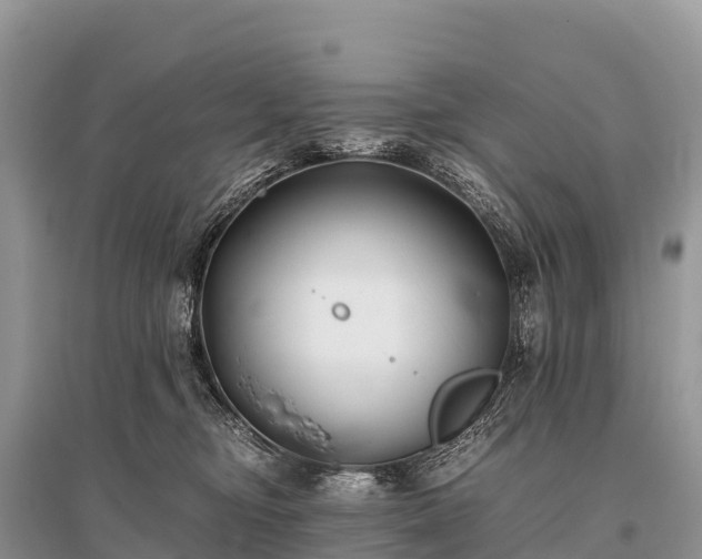 X0000096160374200801251133