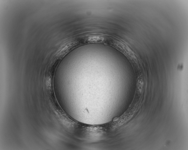 X0000096160375200801251133