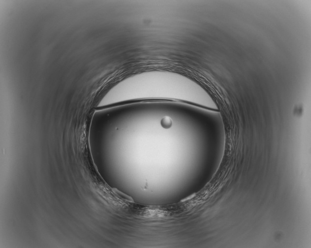 X0000096160376200801251133