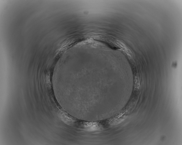 X0000096160377200801251133