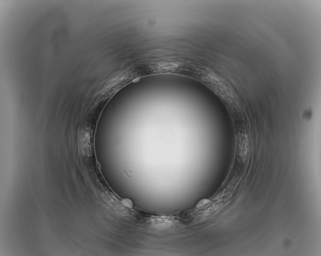 X0000096160378200801251133