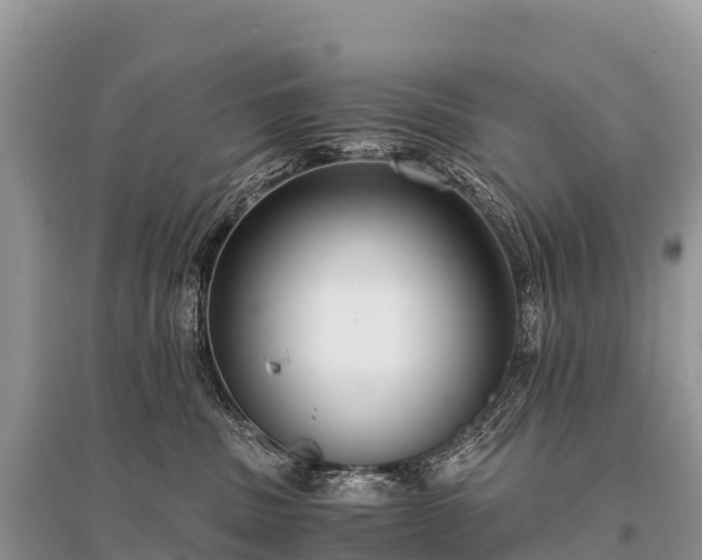 X0000096160379200801251133