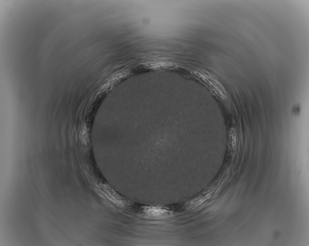 X0000096160380200801251133