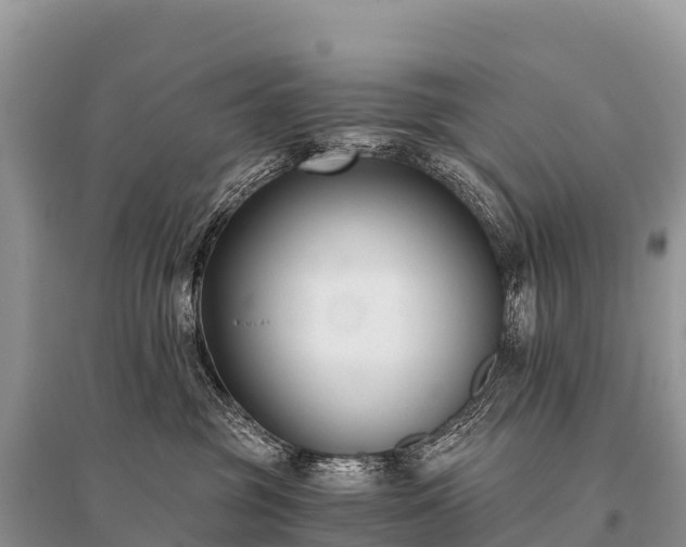 X0000096160381200801251133