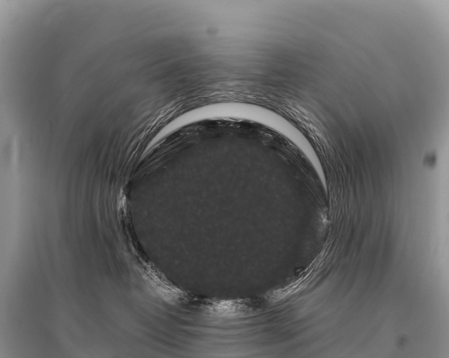 X0000096160382200801251133