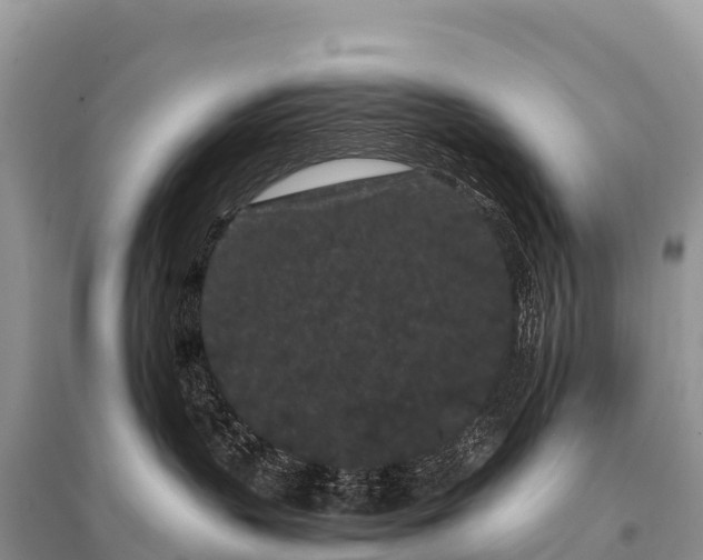 X0000096160383200801251133