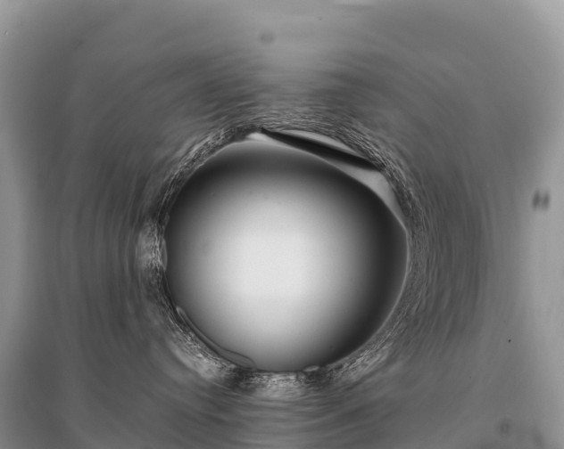 X0000096160384200801251133