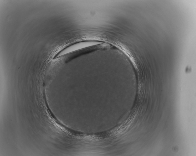 X0000096160385200801251132