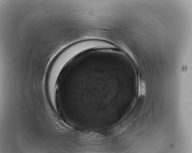 X0000096160387200801251132