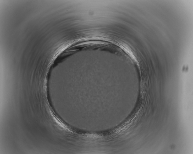 X0000096160389200801251132