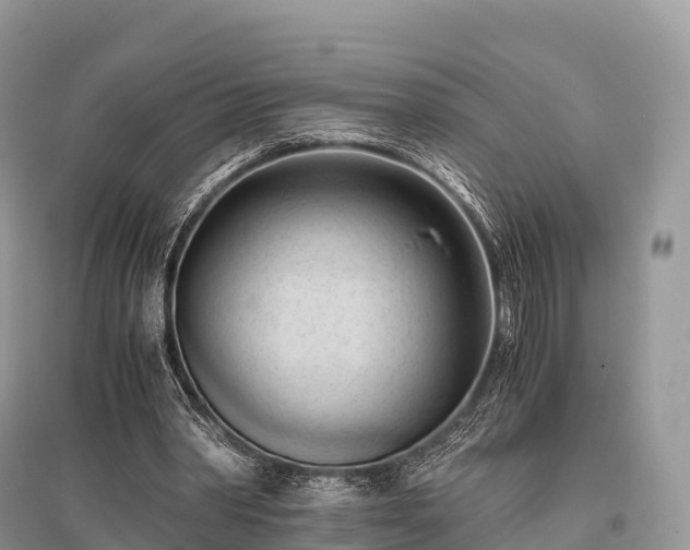 X0000096160390200801251132