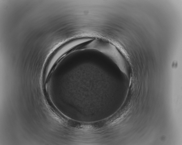 X0000096160391200801251132