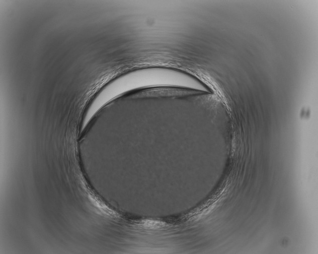 X0000096160393200801251132