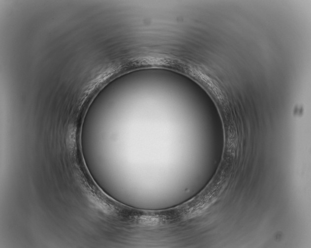 X0000096160394200801251132